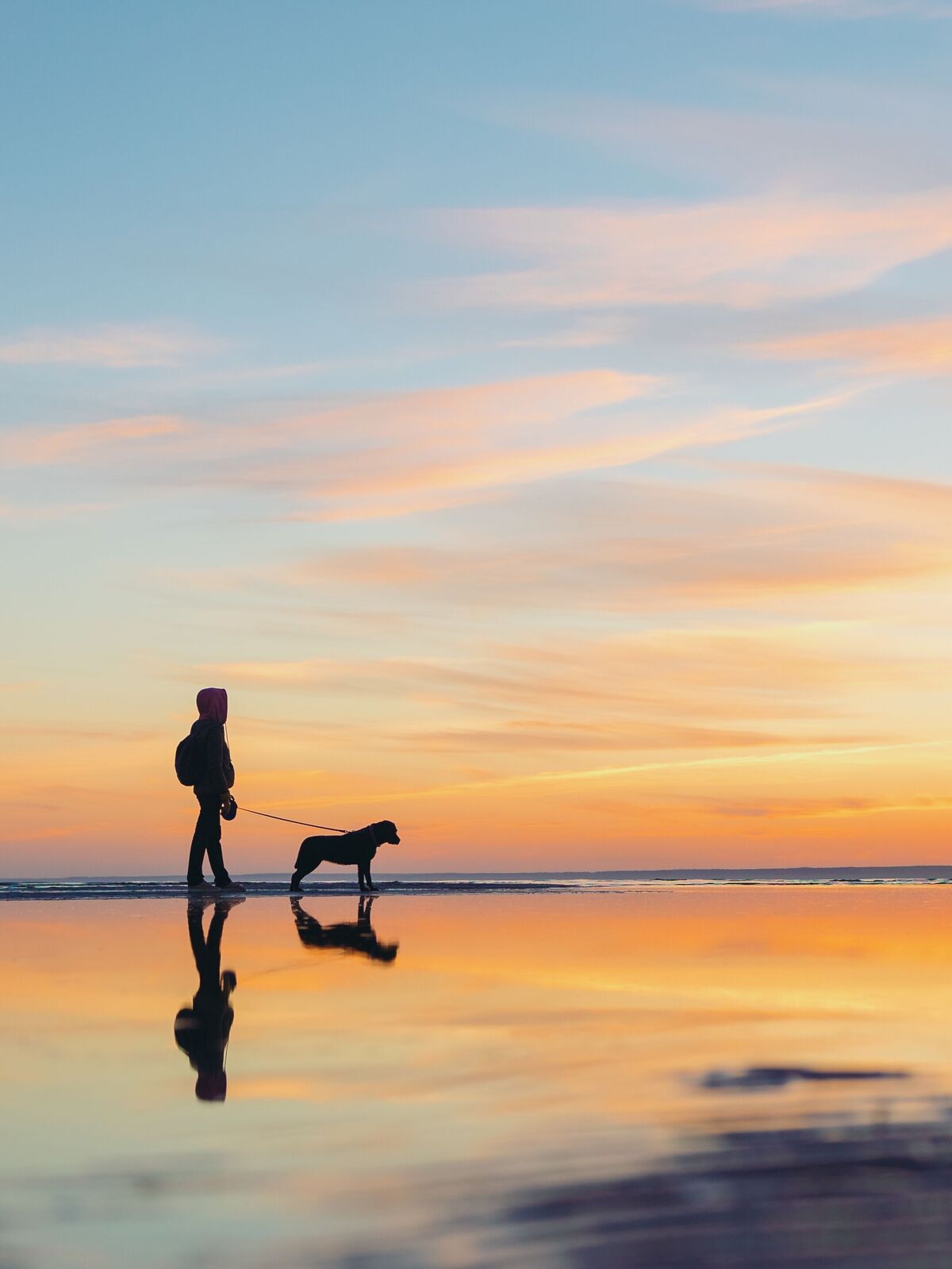 Person mit Hund am Strand bei Sonnenuntergang