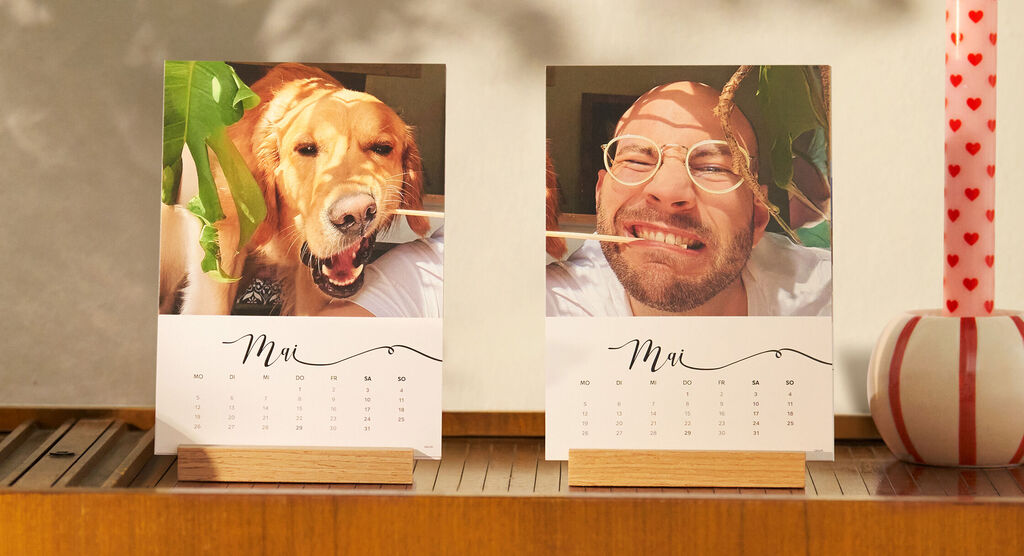 Zwei CEWE Fotokalender für Mai mit lachendem Hund und Person auf einem Holzregal