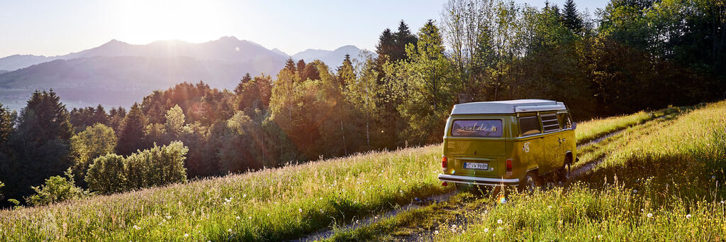 Ein gelber VW-Bus parkt auf einem grünen Feld mit Bergen im Hintergrund. Die Sonne scheint hell über den Bäumen.