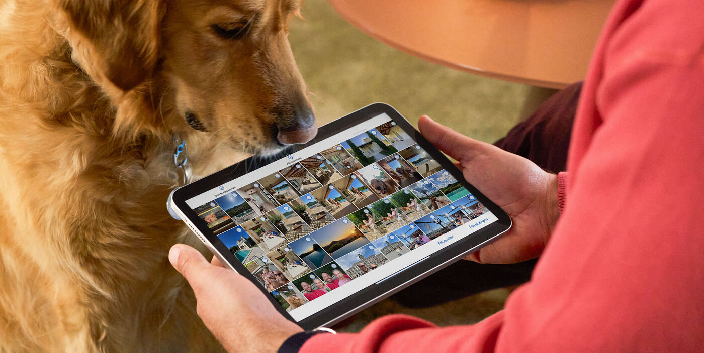 Person hält Tablet mit Urlaubsfotos. Ein Hund schaut neugierig auf die Bilder