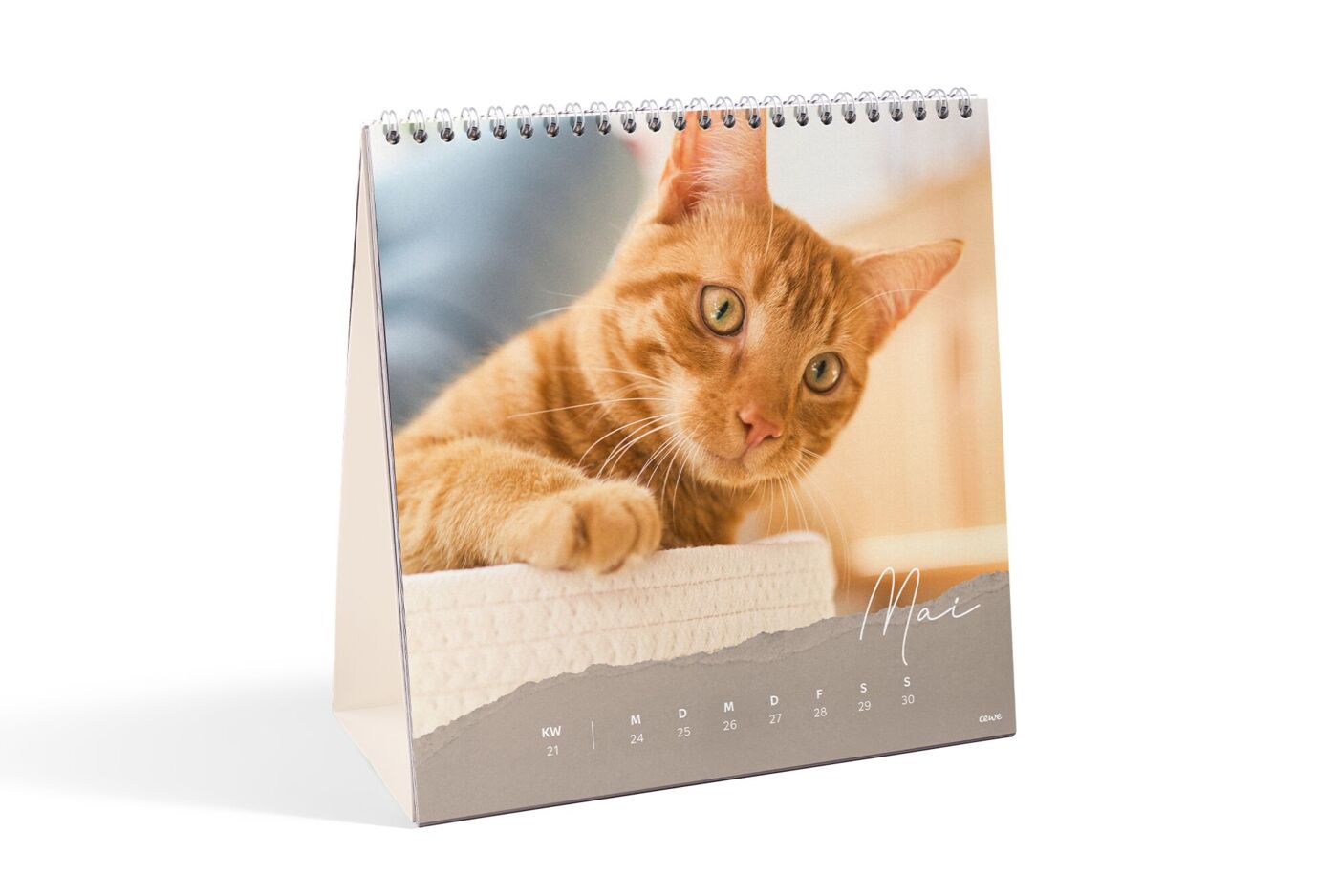 CEWE Tischkalender für Mai mit dem Bild einer orangefarbenen Katze