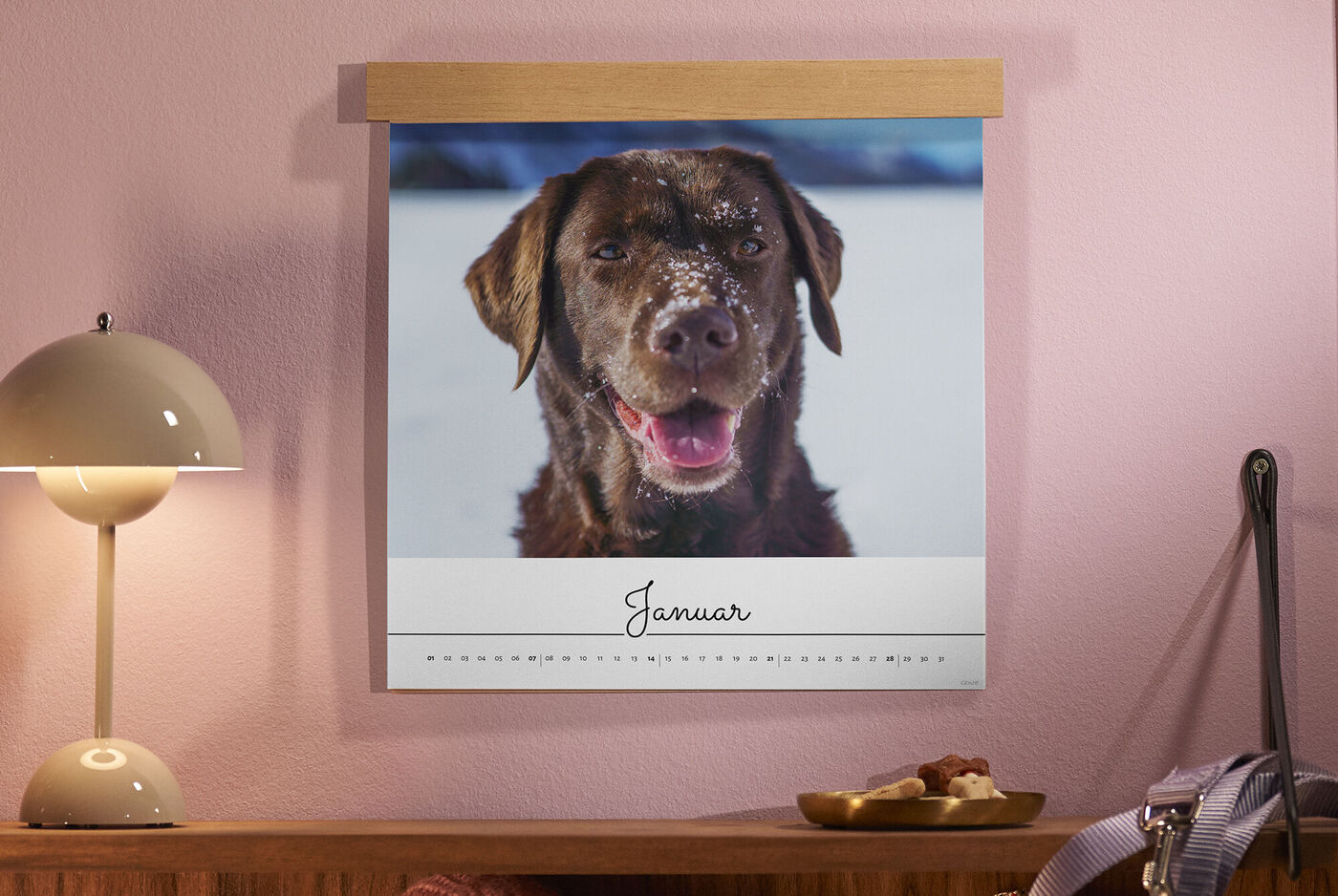 Ein fröhlicher Hund mit Schnee auf dem Fell sieht in die Kamera. Er hängt an einem Wandkalender.